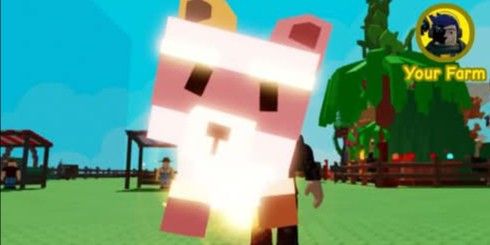 Buy Pets Radiant racoon Grow A Garden 3673193 | itemku
