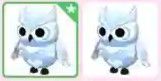 Snow Owl
