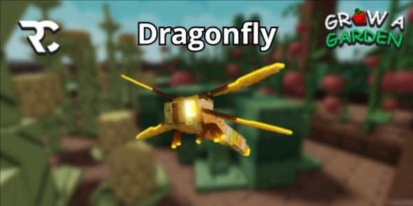 Dragonfly | Grow a Garden
