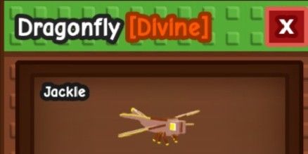 DRAGONFLY 17-39 AGE