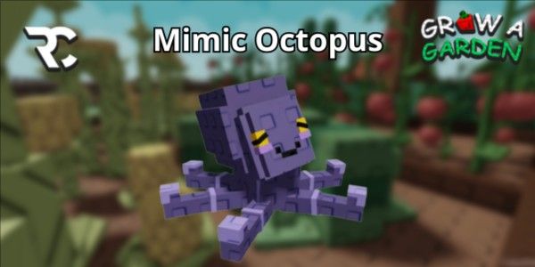 Mimic Octopus