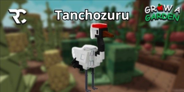 Tanchozuru | Grow a Garden