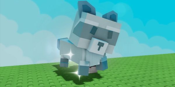 Raccoon Grow A Garden Pet