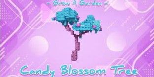 Account 10 Candy Blossom