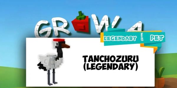 Red-crowned crane