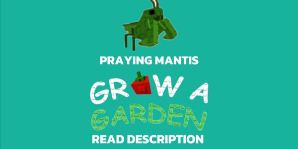 Praying Mantis - Grow A Garden