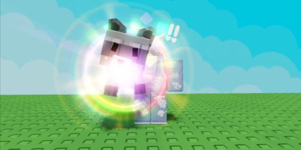 Rainbow Raccoon (Divine)