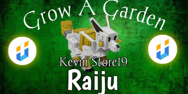 Raiju Affordable