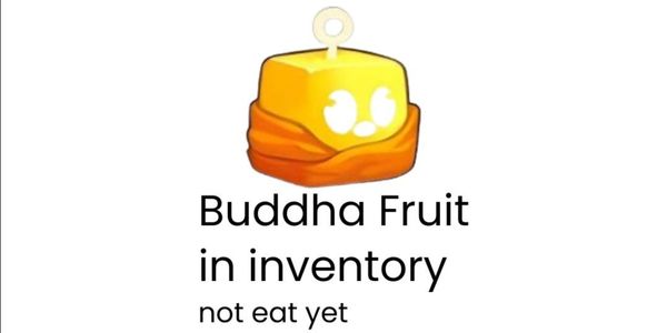 AKUN BLOX FRUIT LEVEL 1000+ BUAH BUDDHA BELUM DIMAKAN