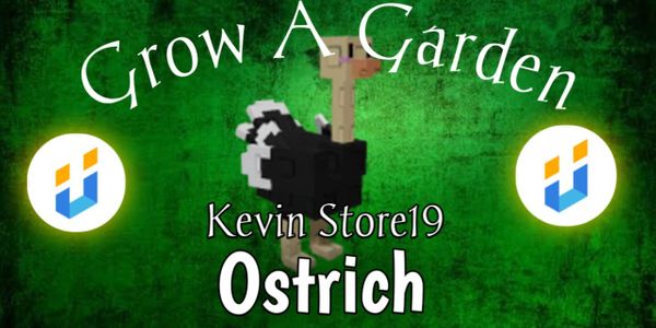 Cheap Ostrich