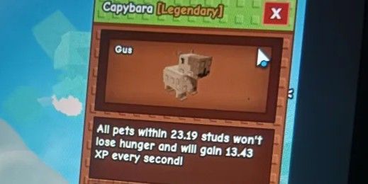 Huge Capybara