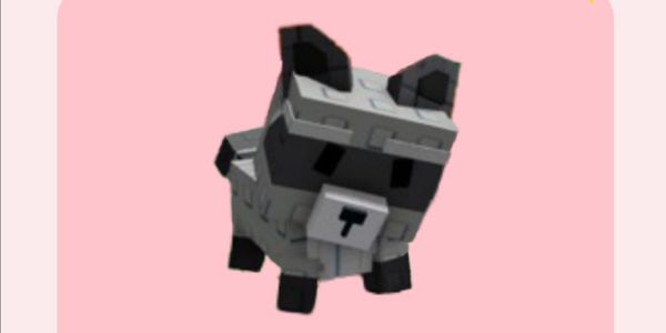 Raccoon Grow  A Garden Pet