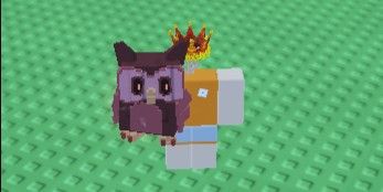 Windy Blood Owl - Grow a Garden