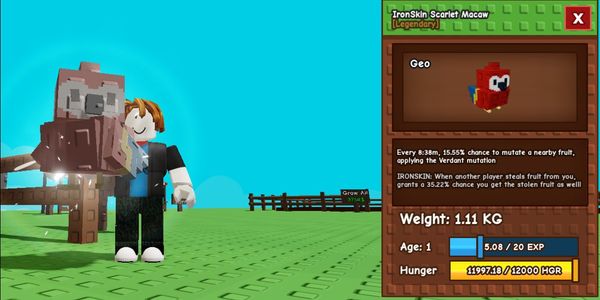 IronSkin Scarlet Macaw - Grow a Garden