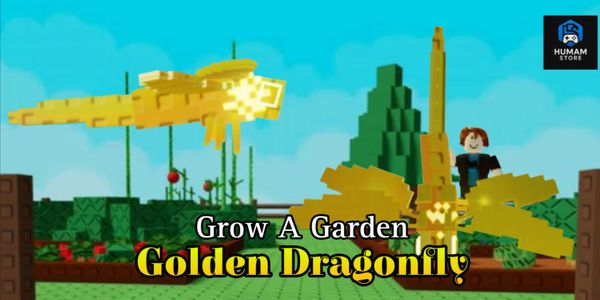 Dragonfly Golden/Golden Dragonfly | Grow A Garden