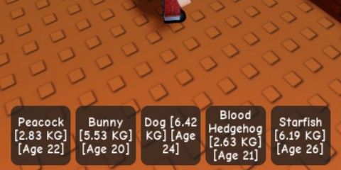 Pet age 20+, to add slot | Grow A Garden