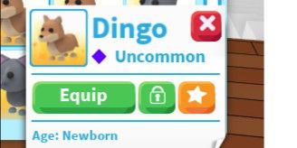 Dingo (Uncommon)-Adopt me