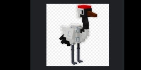 Red-crowned crane