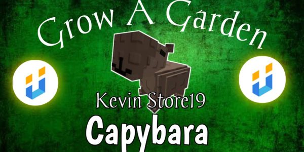Cheap Capybara