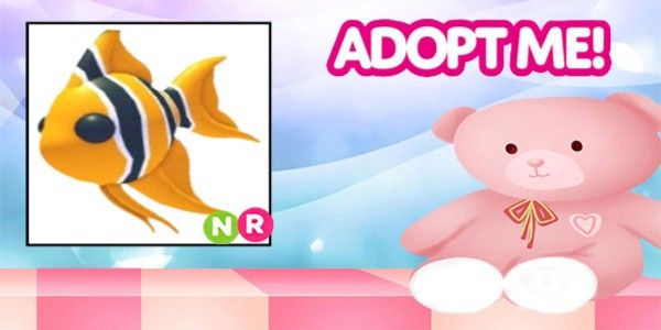 Buy Pet Angelfish NR Adopt Me Pet Adopt Me Trading Hub 3698088 | itemku