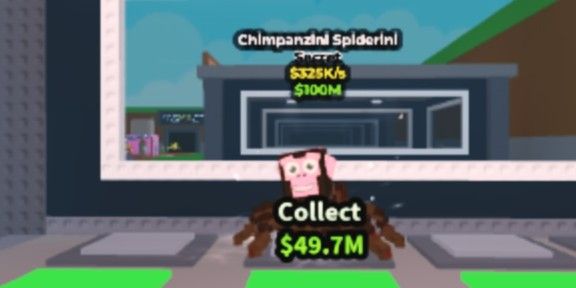 CHIMPANZINI SPIDERINI