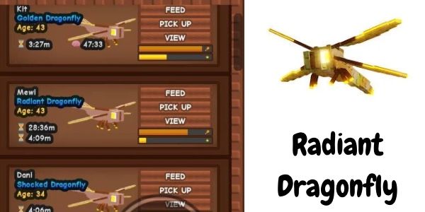 RADIANT DRAGONFLY GROW A GARDEN