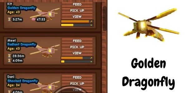 Buy Pets GOLDEN DRAGONFLY GROW A GARDEN Grow A Garden 3699918 | itemku