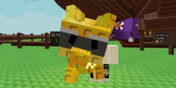 Golden Raccoon Age 90+