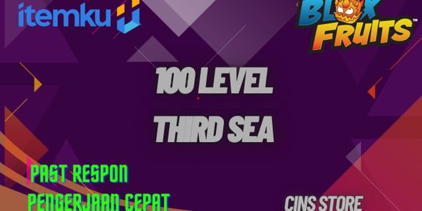 Leveling 3rd Sea