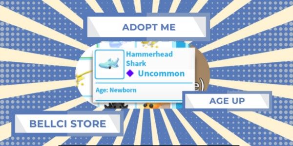 HammerHead Shark | Adopt Me