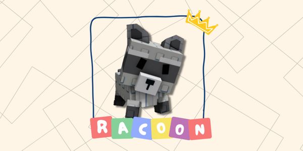 Raccoon - Grow a Garden DIVINE Pet