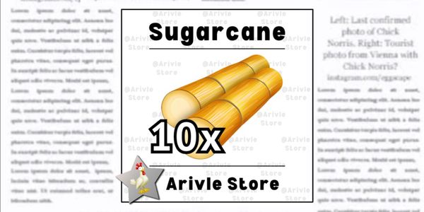 Sugarcane 10 PCS
