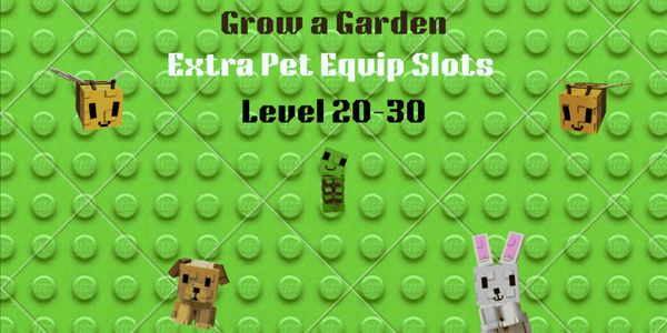 Extra Pet Equip Slots