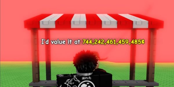 Sheckless 744T Coin