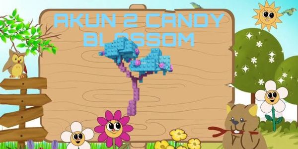 ACCOUNT 2 CANDY BLOSSOM