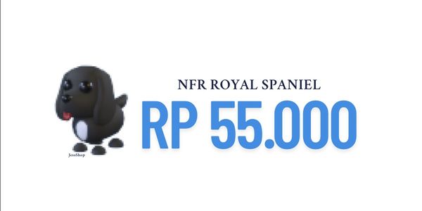 NFR ROYAL SPANIEL