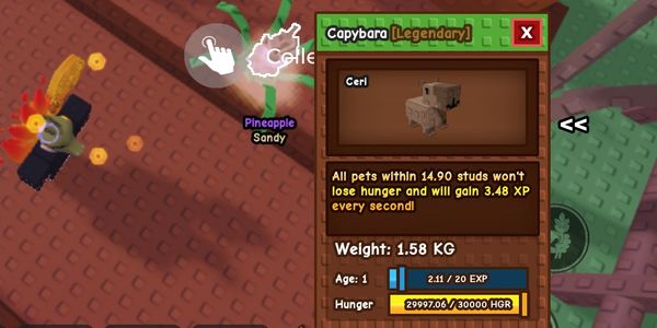 Copybara