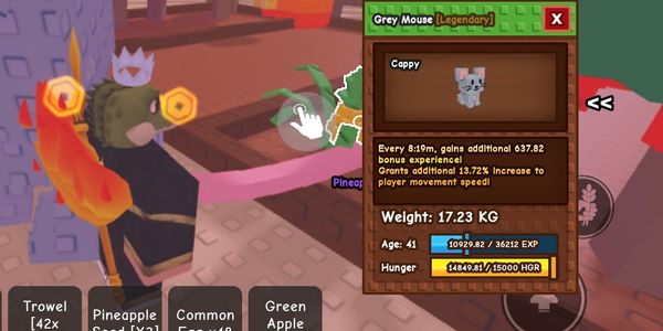 grey mouse 17kg age 40