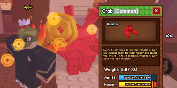 crab 8kg