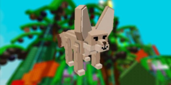 Fennec fox