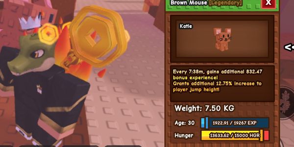 brown mouse 7kg