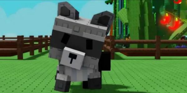 Raccoon (Pet Grow A Garden)