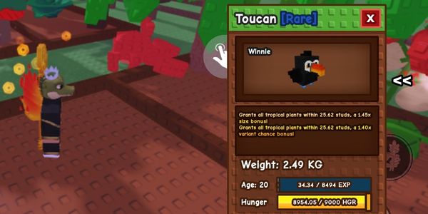 toucan