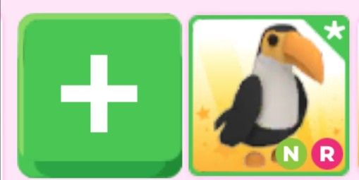 Toucan