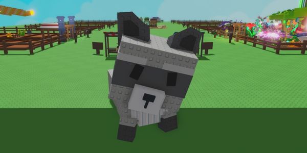 Titan Racoon 35KG + Age 62 Grow a Garden Titan/Huge Pet