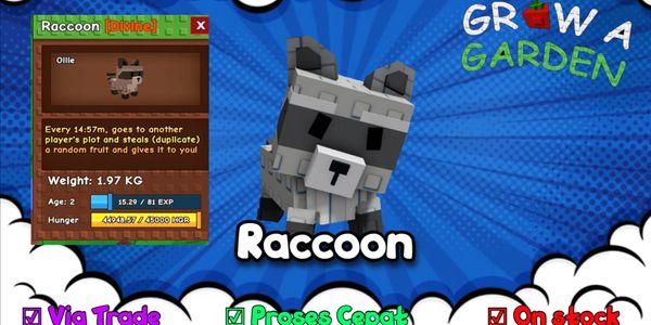 Raccoon [Divine] - Grow A Garden