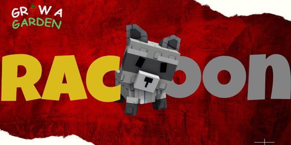 Raccoon