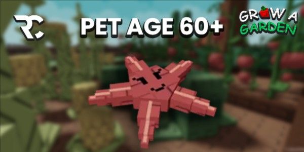 Pet Age 60 (Pet Slot 4+) Starfish | Grow A Garden