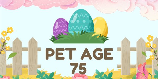 Pet Age 75 (Pet Slot)