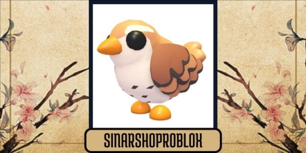 Buy Pet Wren Adopt Me Trading Hub 3703655 | itemku